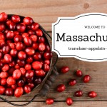 Massachusetts = tranebær-appelsinkompot