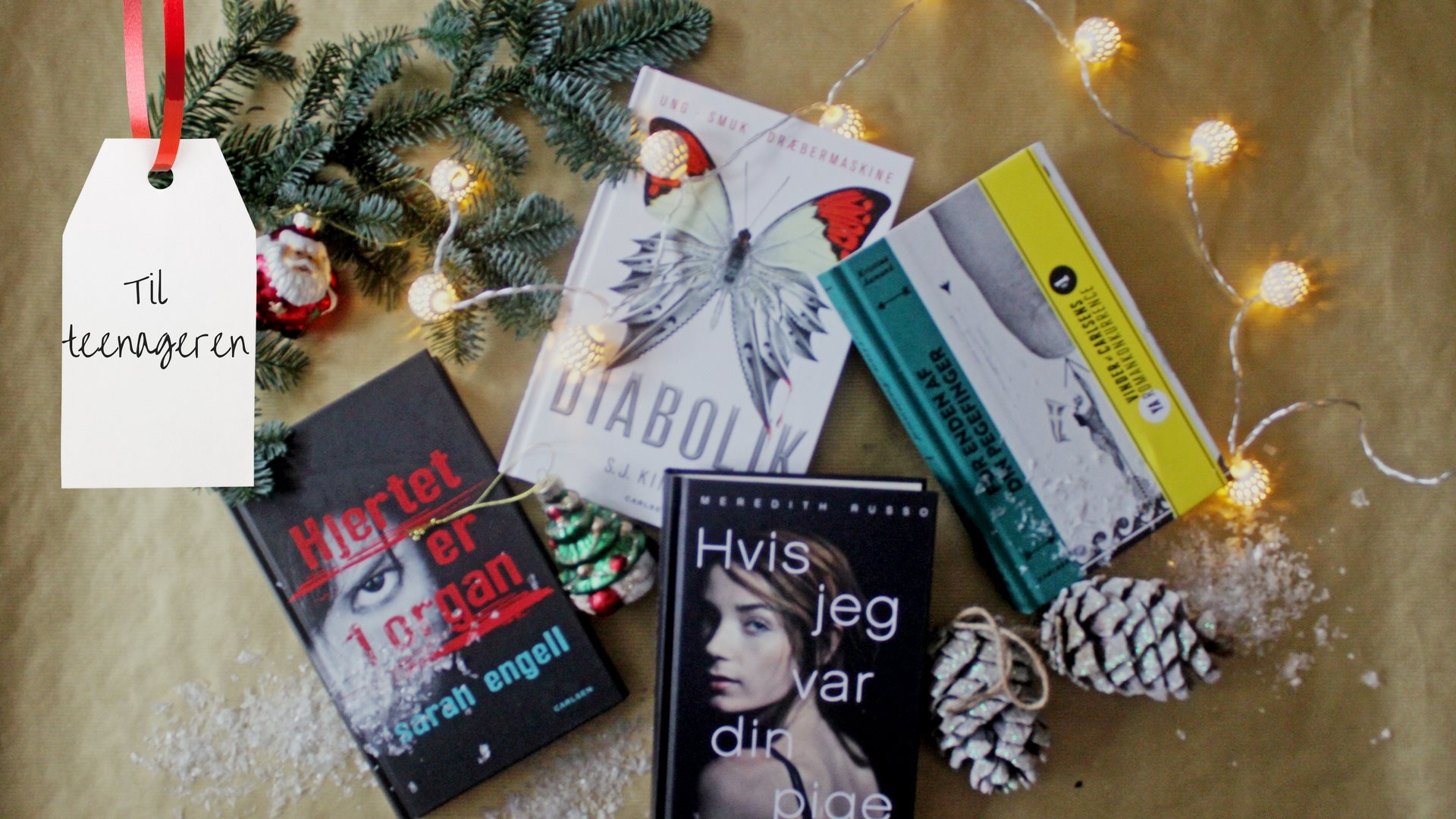 Juleguide: Bøger til teenagere