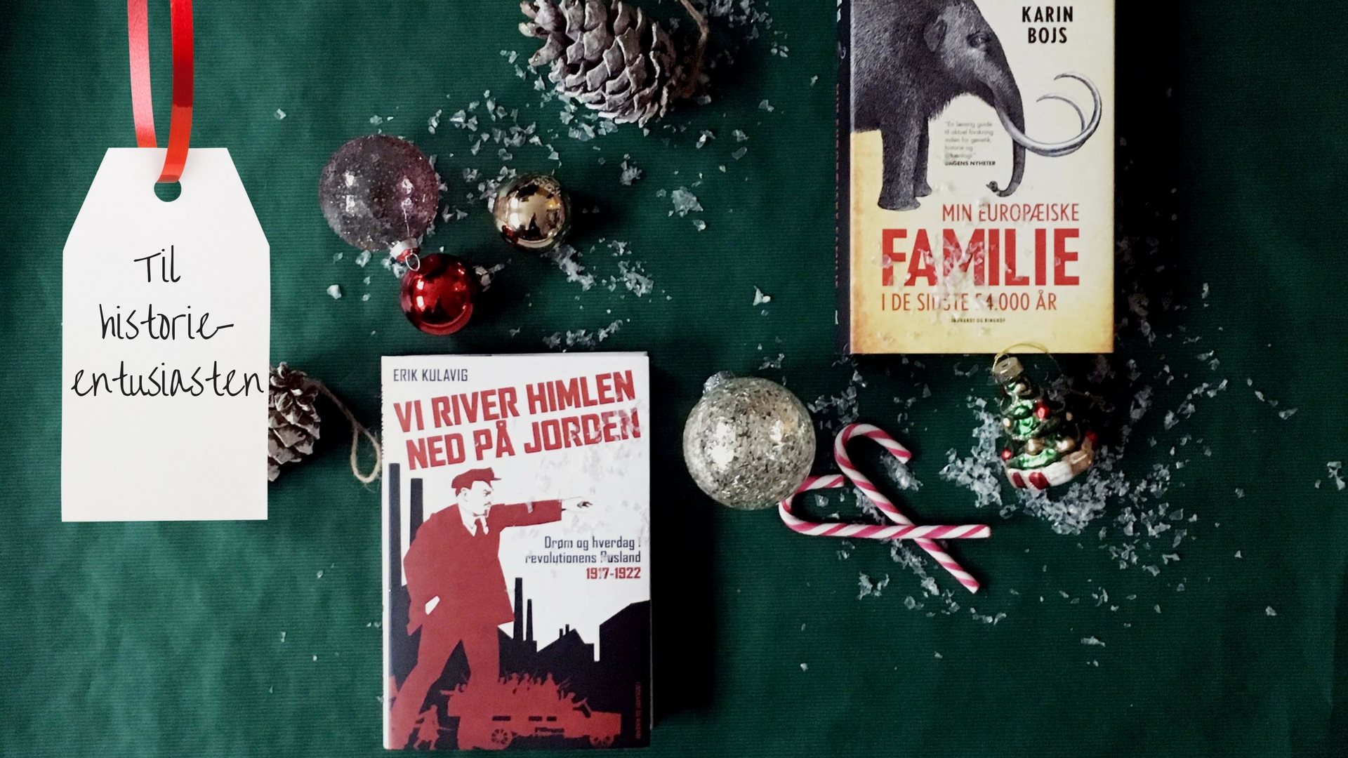Juleguide: Bøger til historieentusiasten