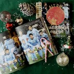 Juleguide: Fodboldbøger til store og små