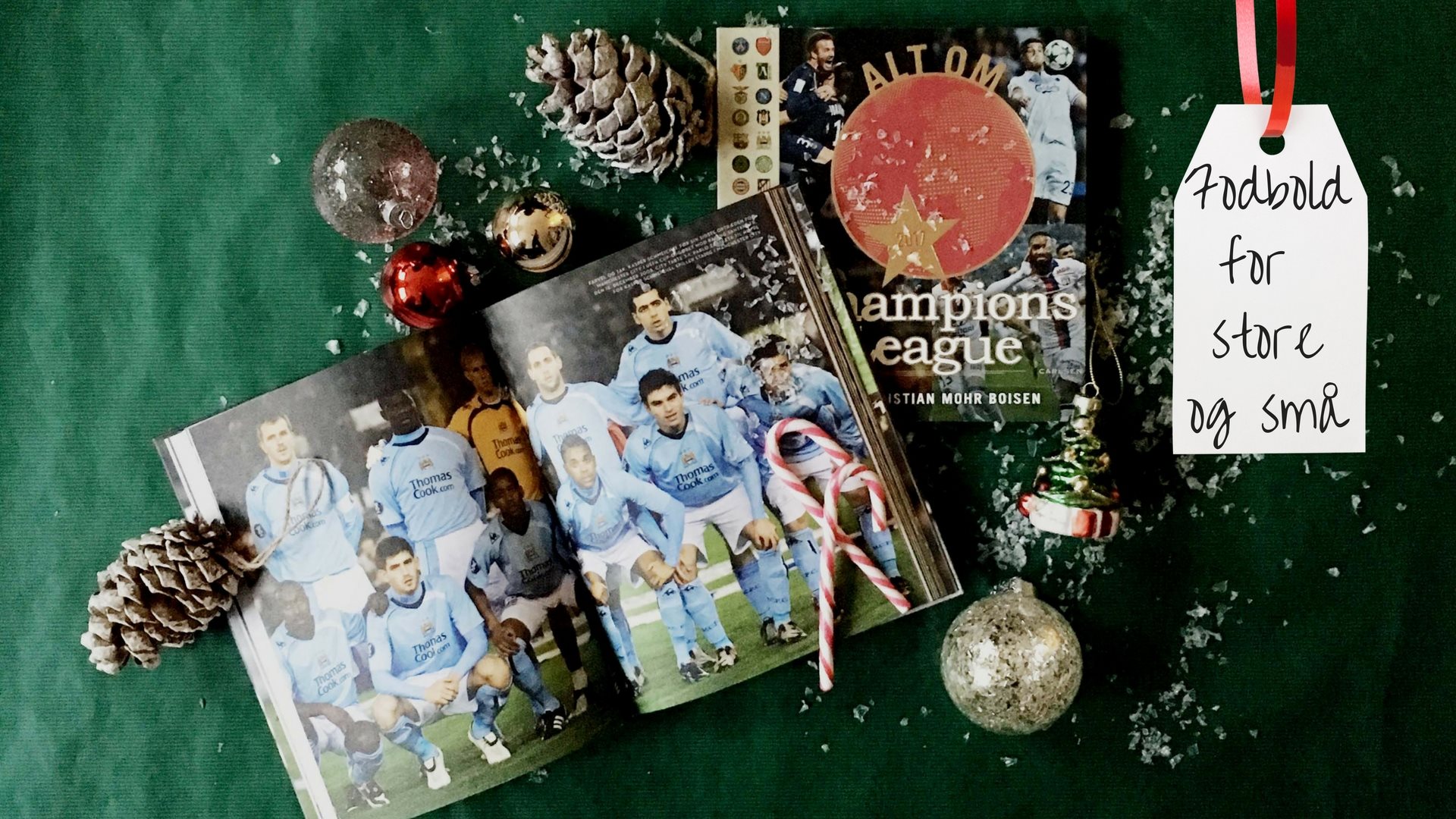 Juleguide: Fodboldbøger til store og små