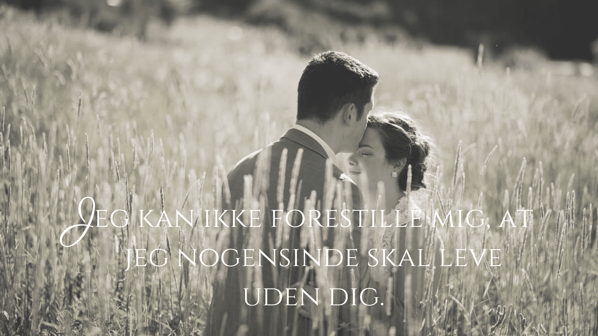 Citater kærlighed dansk