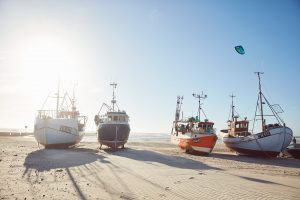 Vesterhavet - Danmarks vildeste natur fortalt og fotograferet