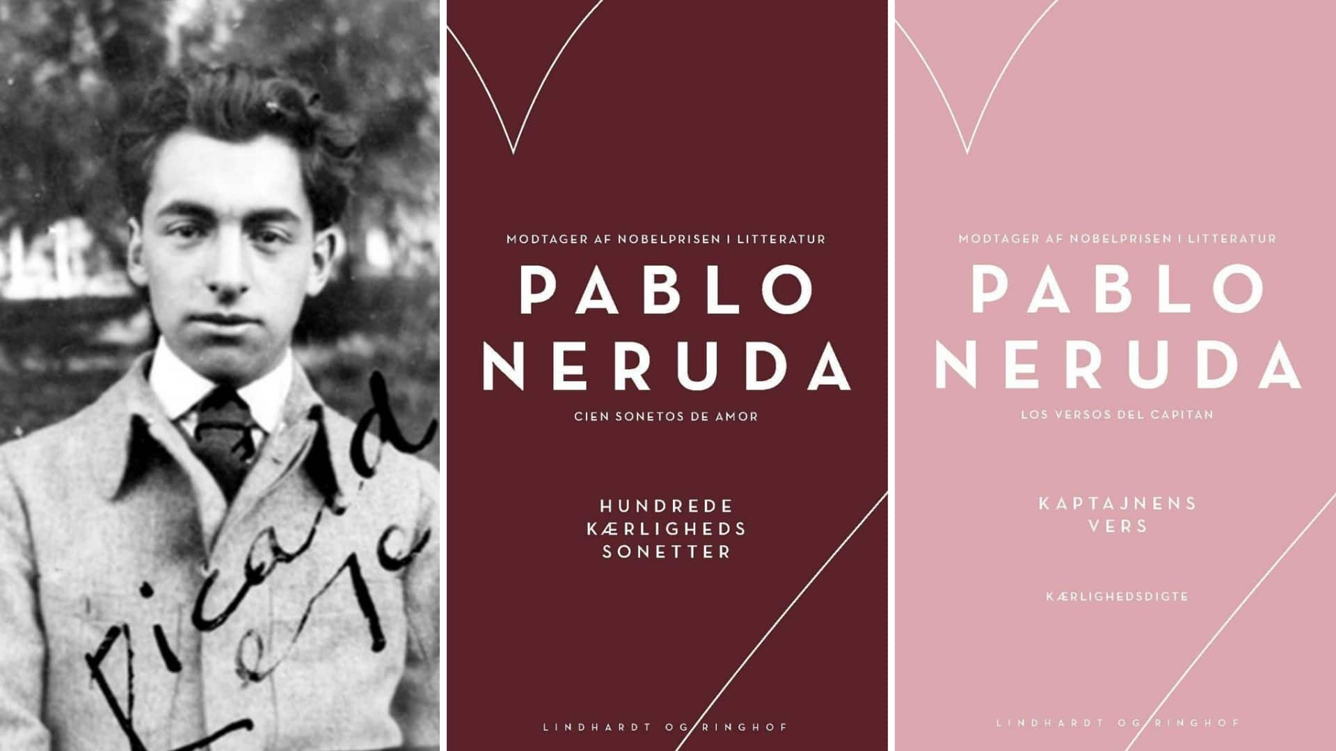 Pablo Neruda, Kaptajnens vers, Hundrede kærlighedssonetter