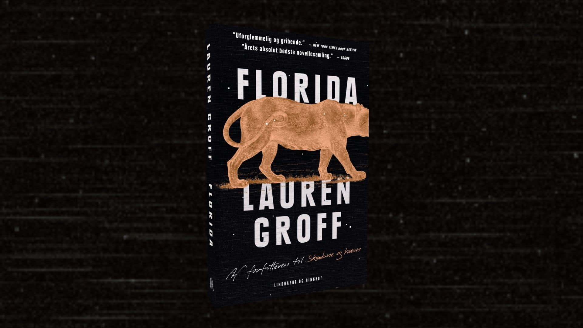 Smuglæs i novellesamlingen af Florida af Lauren Groff 📕