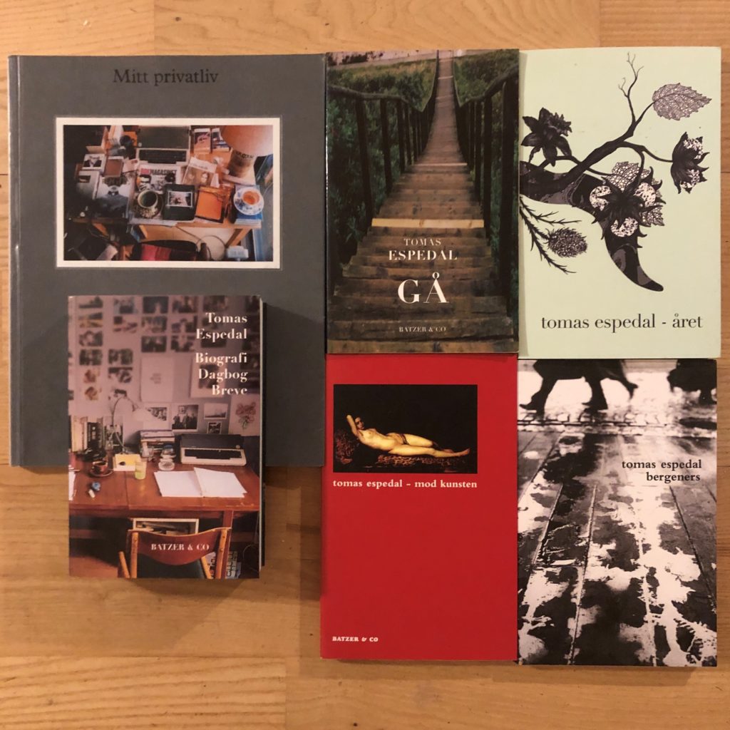 Forlagets anbefalinger: Norsk litteratur #LRLæser2020