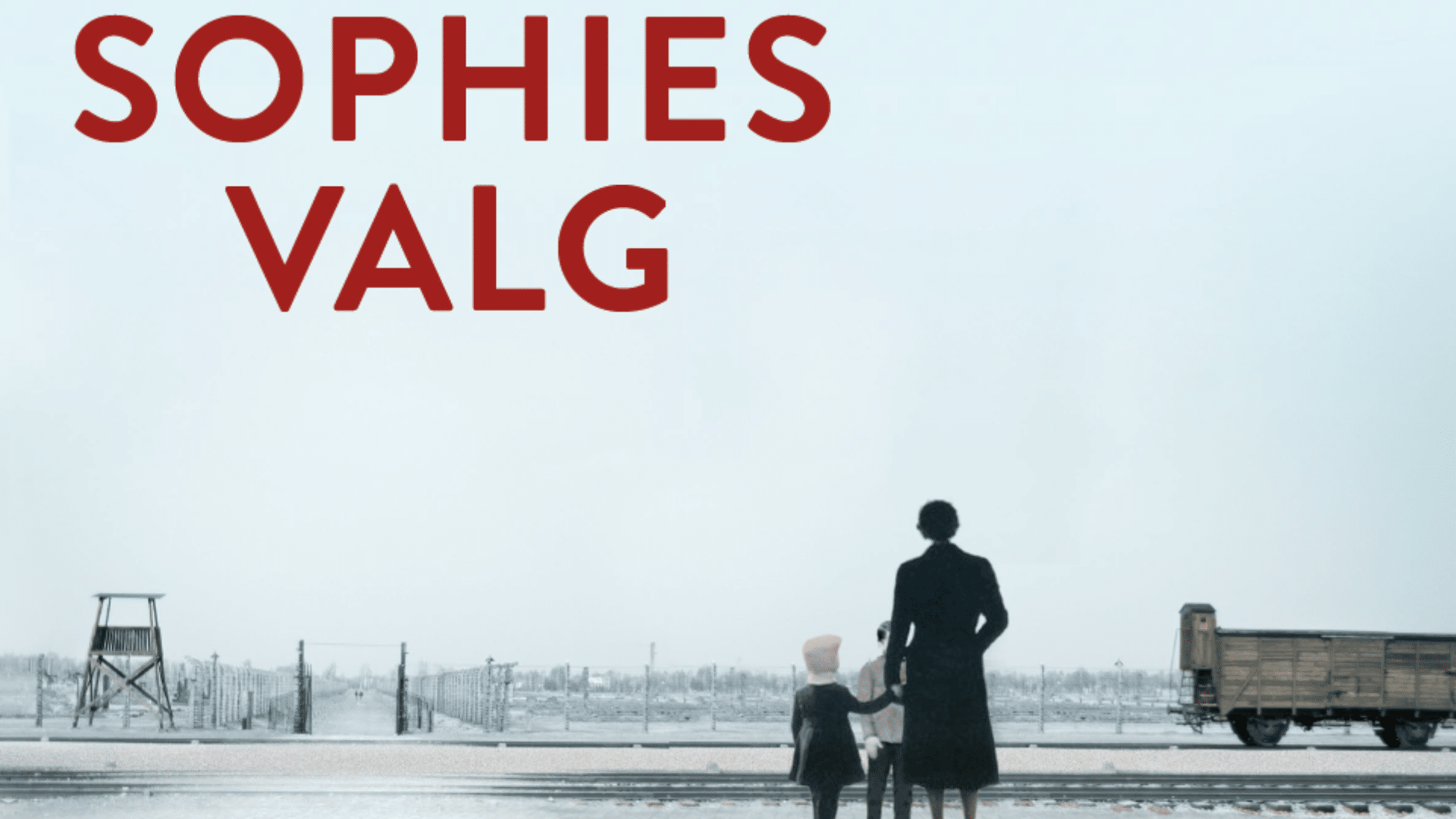 En gribende international bestseller – smuglæs i Sophies valg