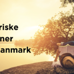 15 historiske romaner om Danmark. Tag med på en rejse i Danmarkshistorien