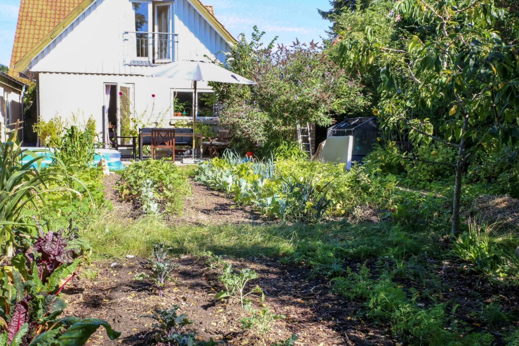 Tilbage til naturen – hjemme i din egen have