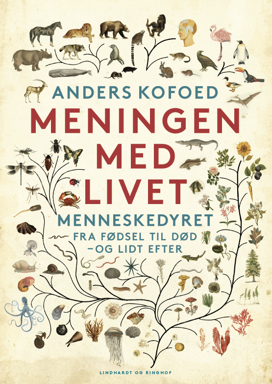 Slavehandel, trekantsdramaer og jomfrufødsler: Der mangler ikke drama i Anders Kofoeds store bog om naturen