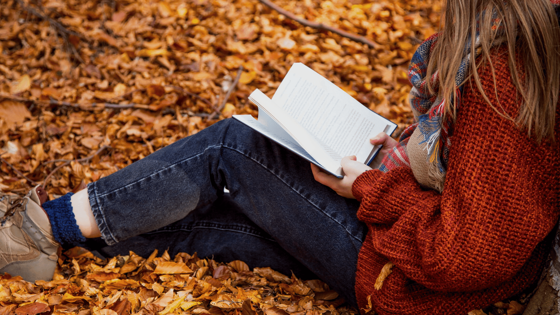 Portal Ugle blanding Efterårets favoritter. 10 bøger du skal læse i september - BOG.DK