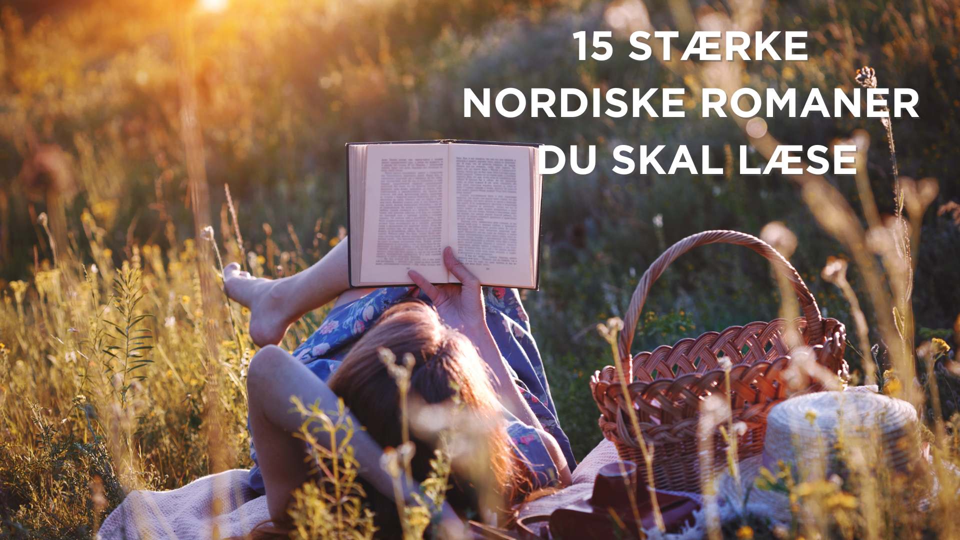 15 stærke nordiske romaner du skal læse