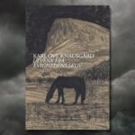 Ulvene fra evighedens skov. Ny, stor roman af Karl Ove Knausgård. Få et smugkig her