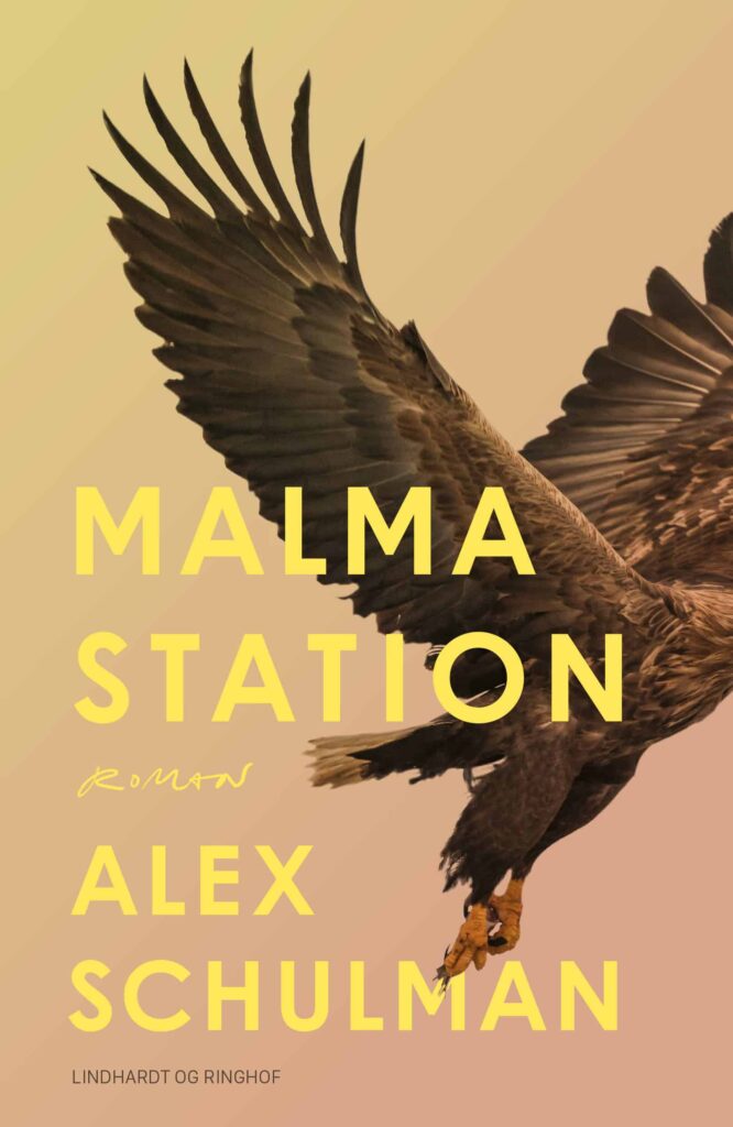 Den anmelderroste Alex Schulman er aktuel med ny roman Malma Station