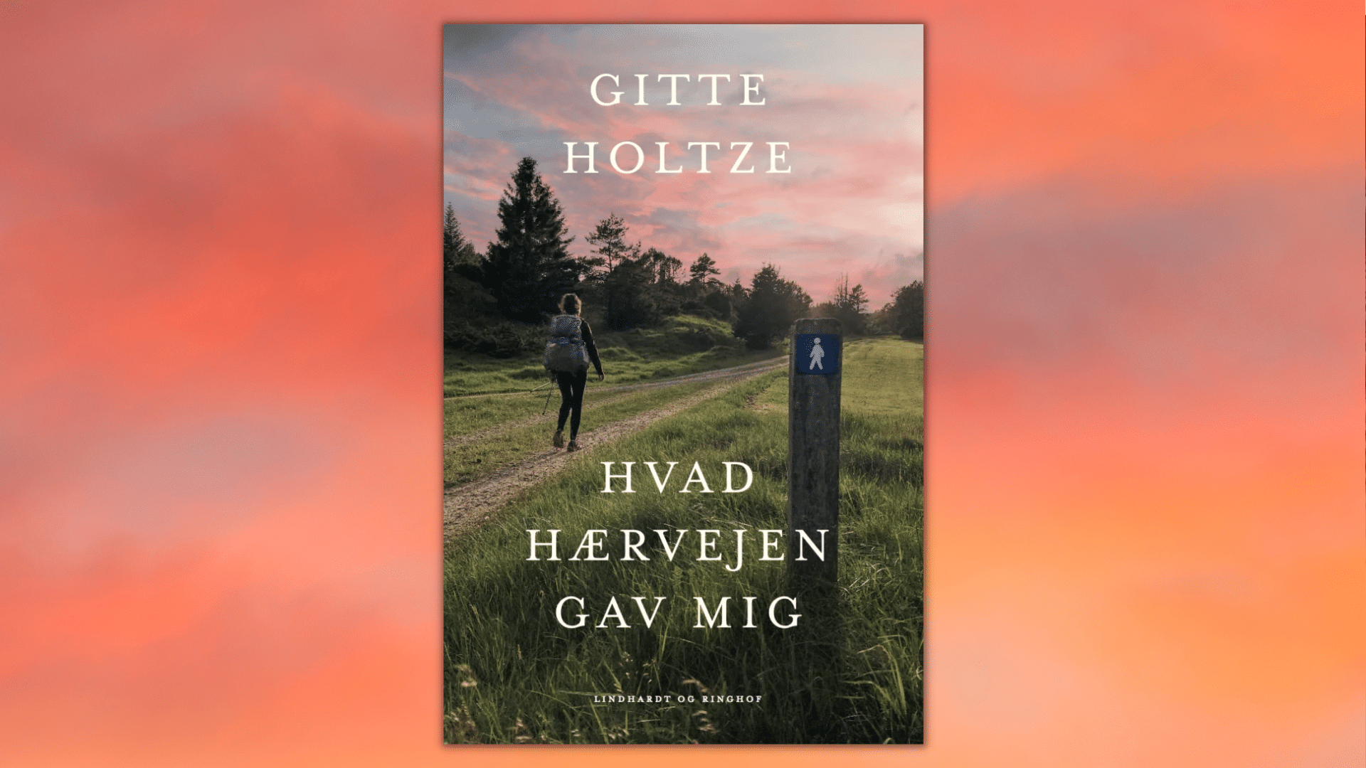 hærvejen, Hvad hærvejen lærte mig, Gitte Holtze, gode bøger, hiking, terapi