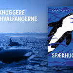 I bogen På togt med spækhuggere stilles der skarpt på det unikke samarbejde mellem mennesker og spækhuggere i hvalfangsten
