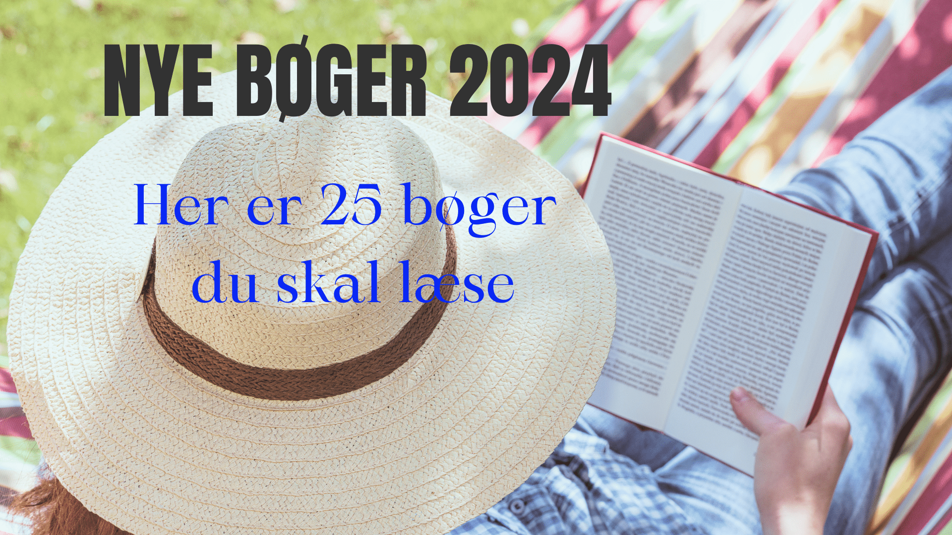 nye bøger 2024