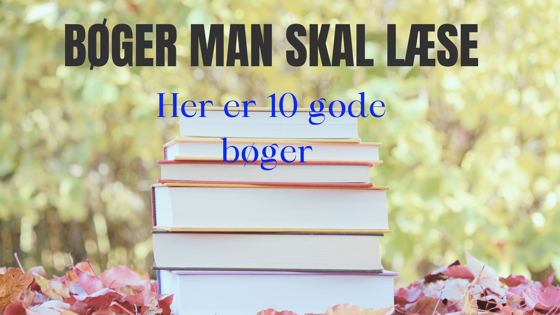 bøger man skal læse