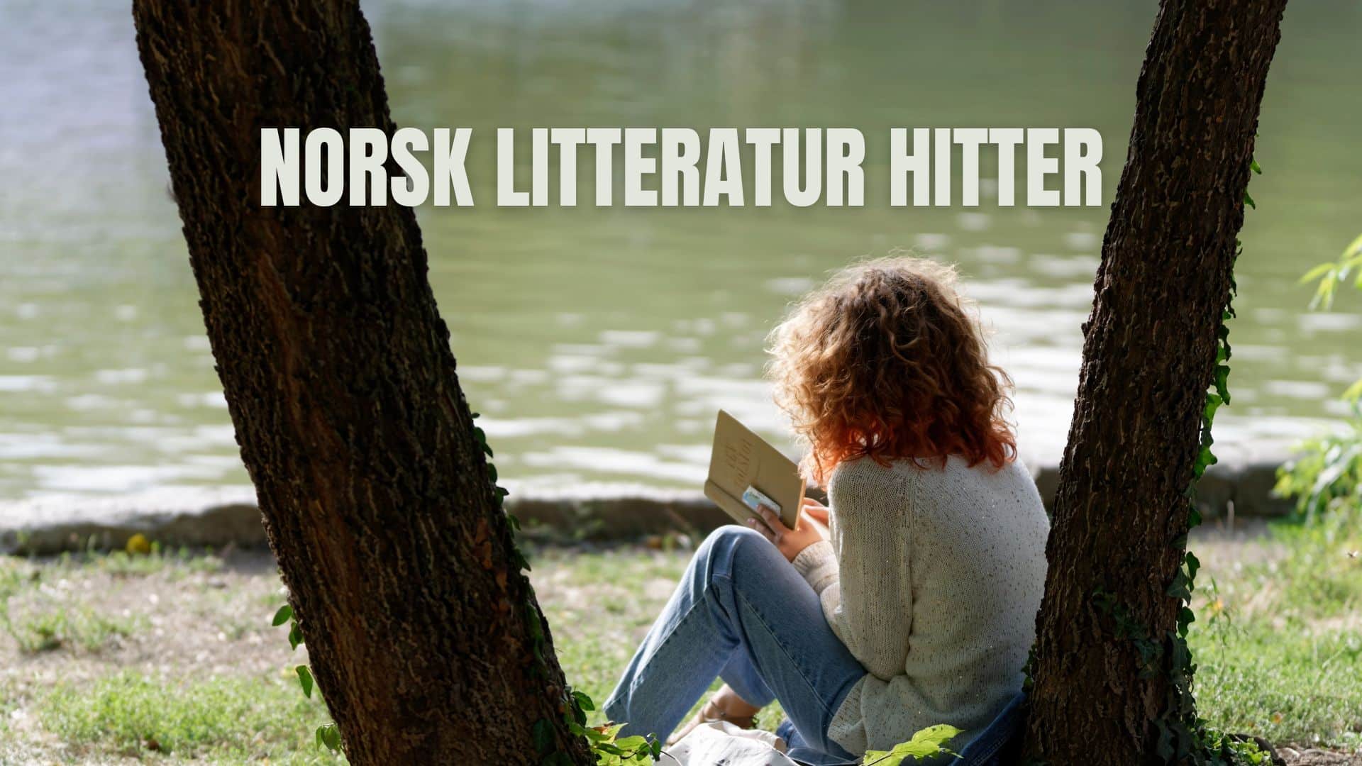 Norsk litteratur hitter